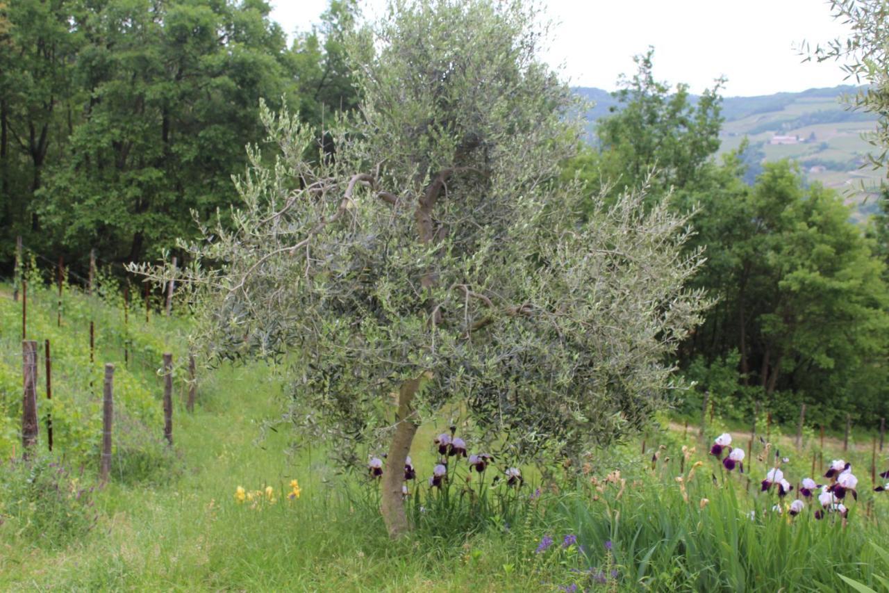 Agriturismo La Rovere Cossano Belbo Exterior foto